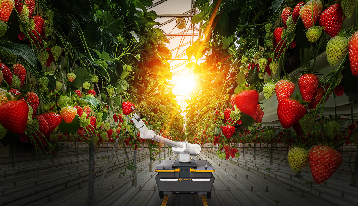 Digitale Kluft unter Landwirten: Smarte Lösungen für jede Stufe der Digitalisierung